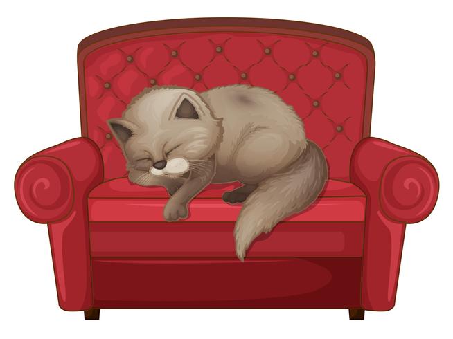 Eine Katze, die auf dem Sofa schläft vektor