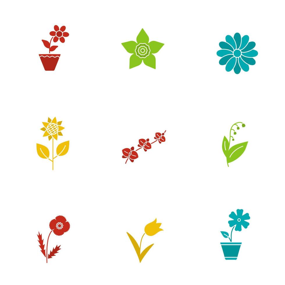 Blumen Glyphe Farbe Icon-Set. Krokus, Hibiskus, Narzissenkopf, Kamille, Sonnenblume, Orchidee, Maililie, Mohn, Tulpe. Silhouette-Symbole auf weißem Hintergrund. negativen Raum. Vektorgrafiken vektor