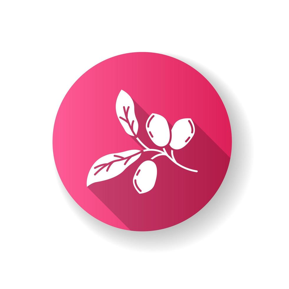 jojoba rosa platt design lång skugga glyfikon. exotiska frukter. botanik. mirakelfrukt. brasiliansk växt. tillverkning av kosmetisk olja. silhouette rgb färg illustration vektor