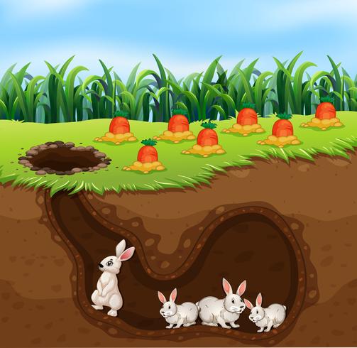 Eine Kaninchenfamilie, die im Loch lebt vektor