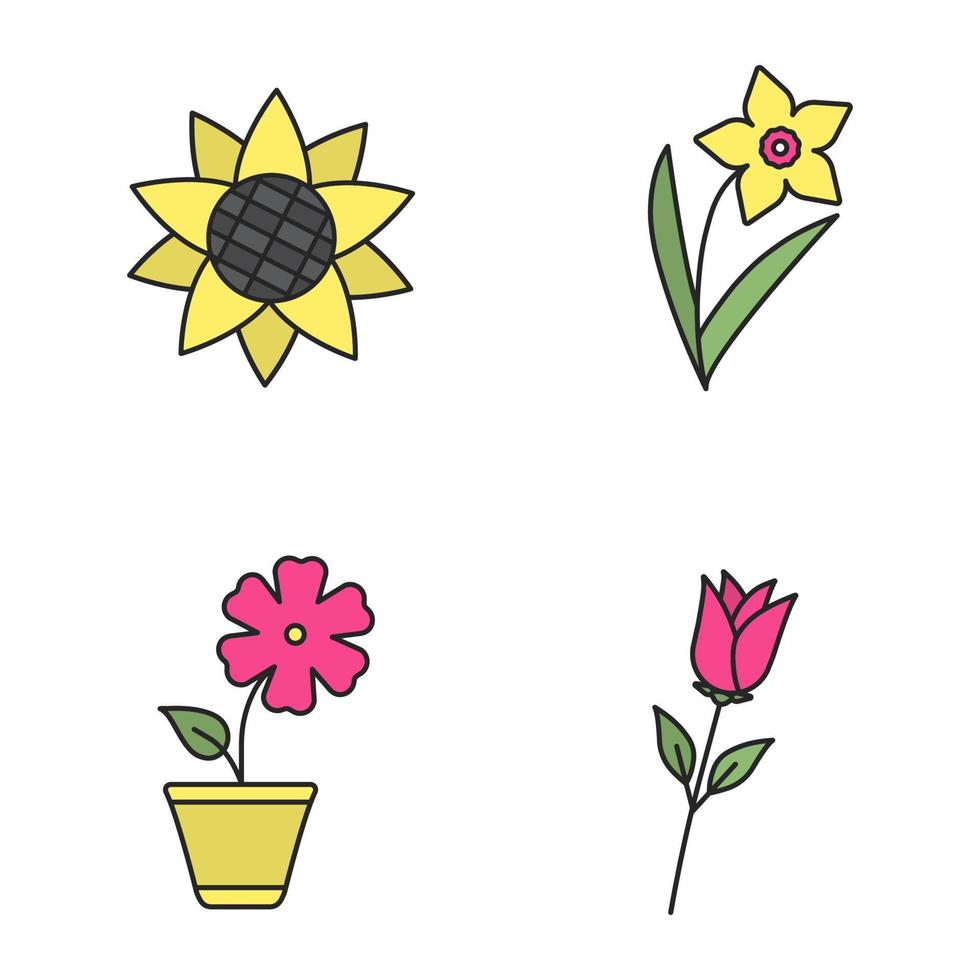 Blumen Farbsymbole gesetzt. Sonnenblumenkopf, Narzisse, Hibiskus, Rose. isolierte vektorillustrationen vektor