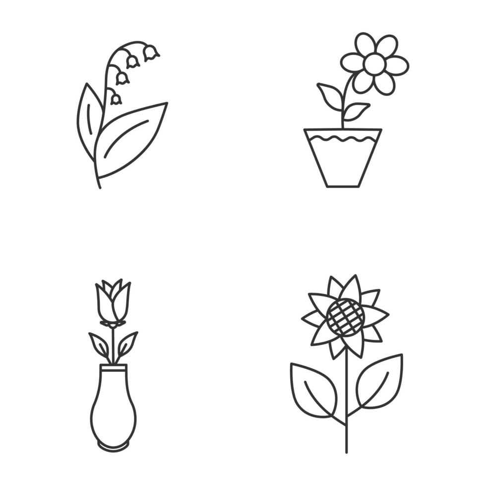 blommor linjära ikoner set. liljekonvalj, krokus i blomkruka, ros i vas, solros. tunn linje kontursymboler. isolerade vektor kontur illustrationer