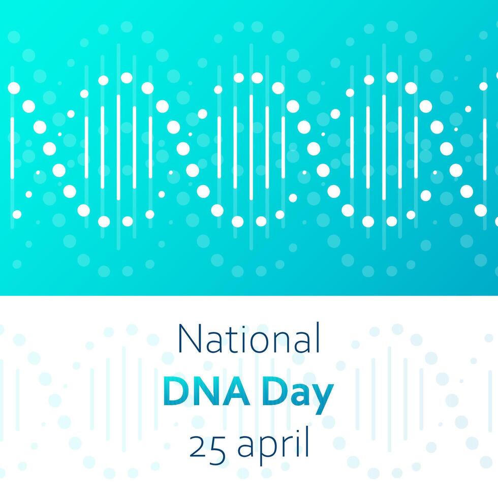 National DNA Tag ist April 25. Poster, Banner mit ein Bild von ein DNA doppelt Wendel und Text. eben Vektor Illustration