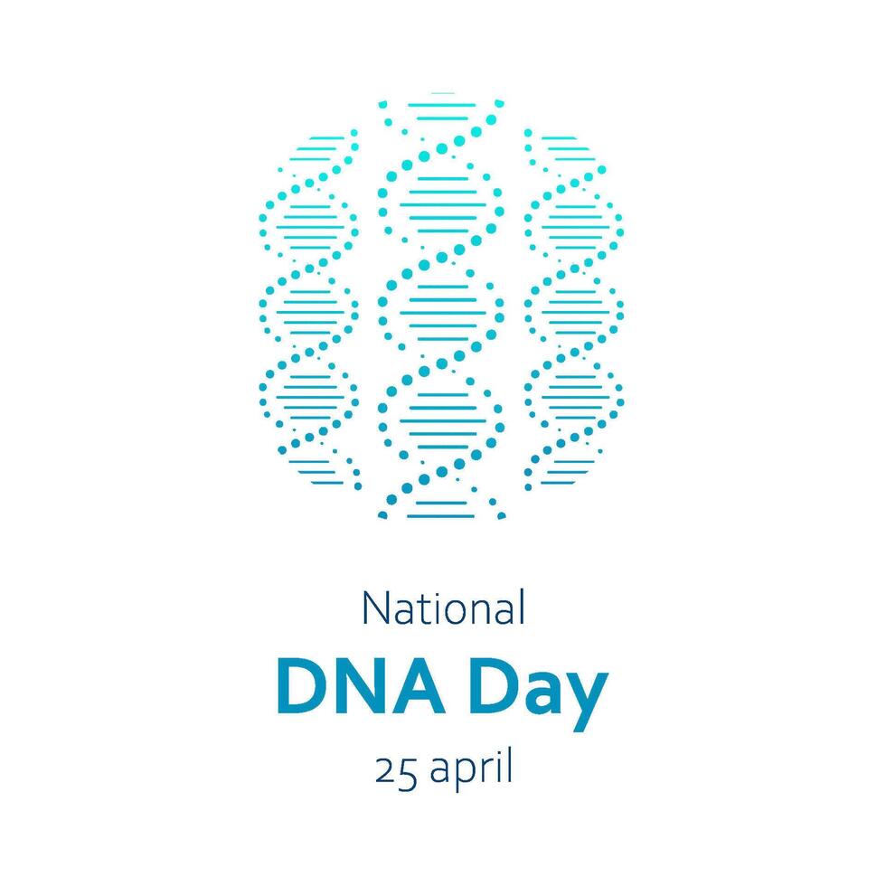 vektor illustration för nationell dna dag på april 25. dna, dubbel- helix molekyl i minimalistisk design