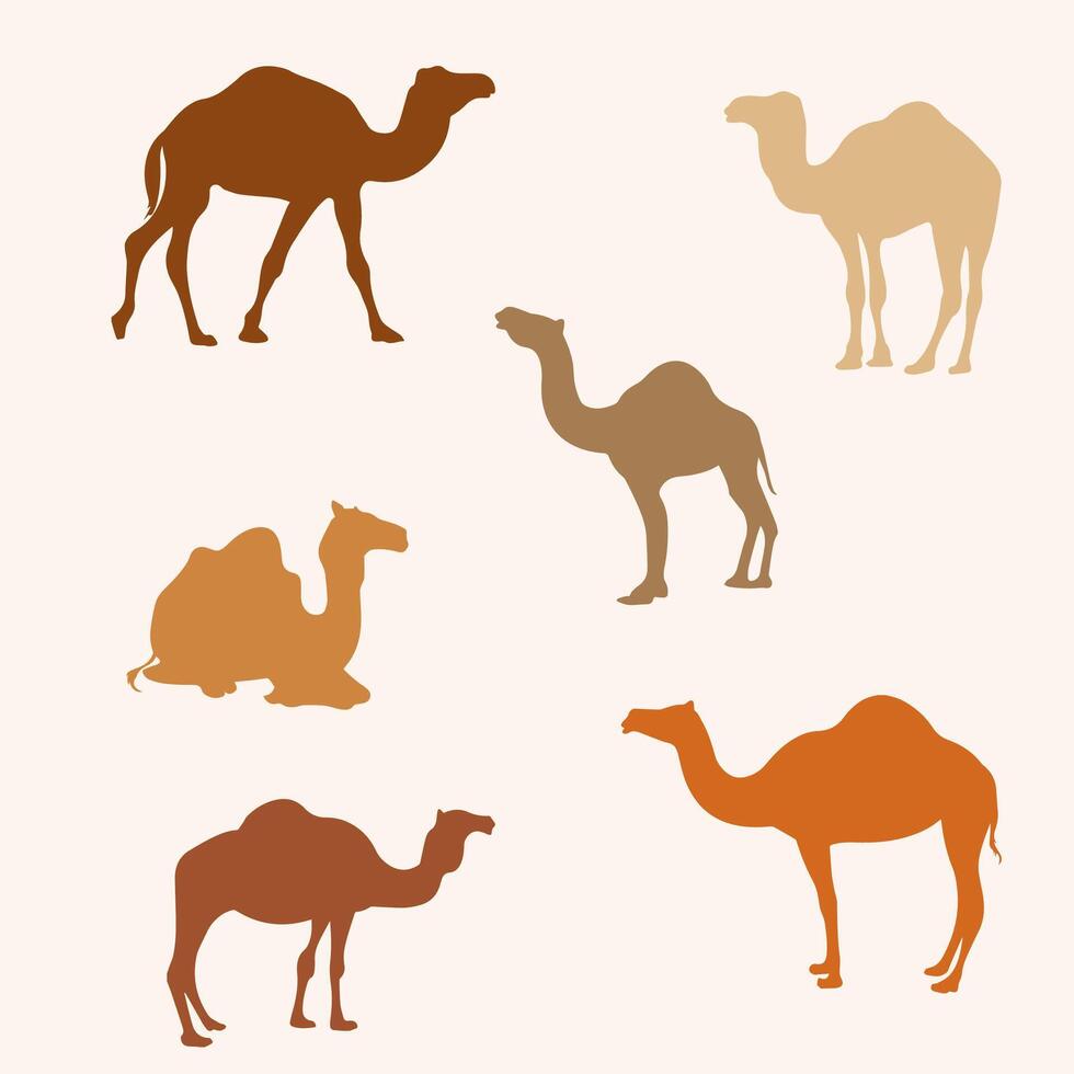 färgrik kameler silhuetter uppsättning vektor