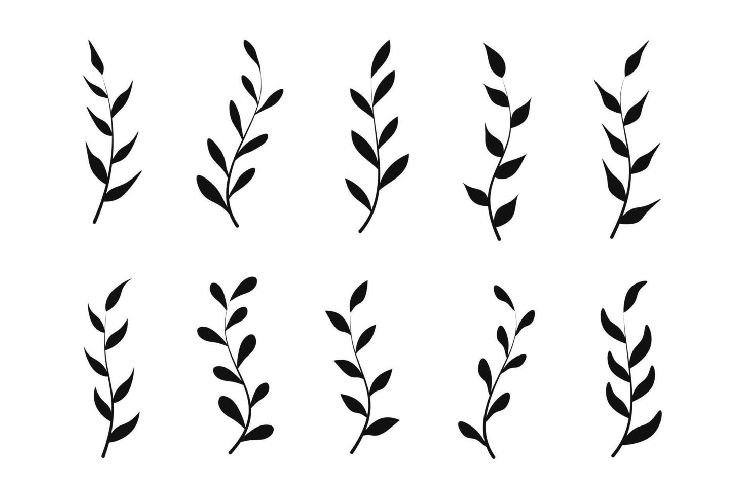 einstellen von Ast und Blätter Sammlung. Blumen- Hand gezeichnet Jahrgang einstellen vektor