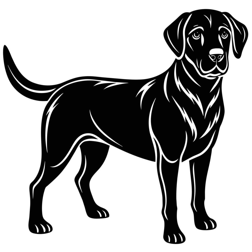 Hund Labrador, isoliert auf Weiß Hintergrund Vektor Illustration.