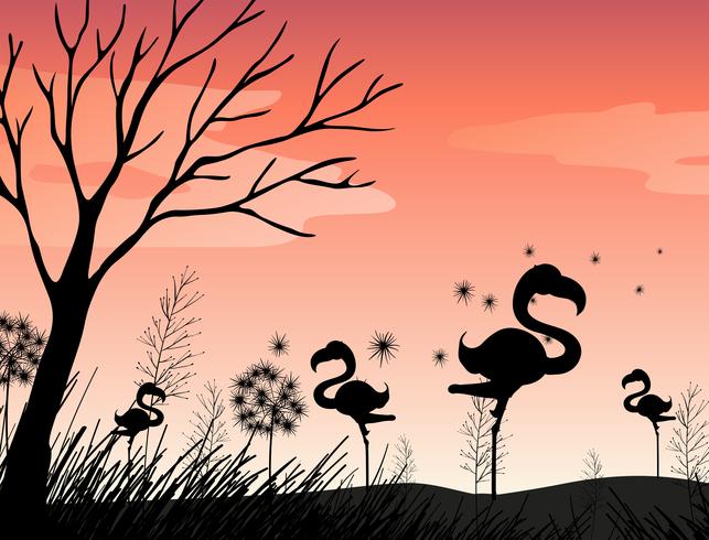 Schattenbildszene mit Flamingo auf dem Gebiet vektor