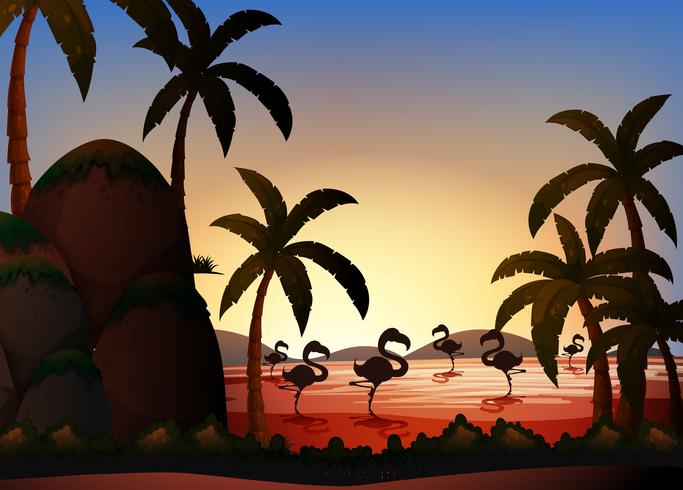 Silhouettieren Sie Szene mit Flamingovögeln im Fluss vektor