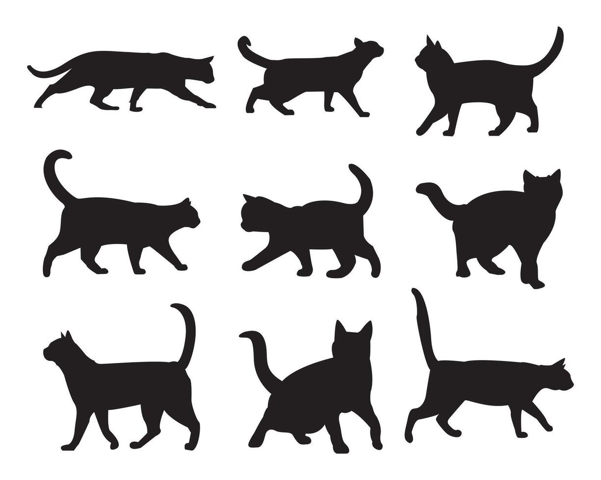 katt silhuett vektor samling uppsättning, logotyp, typografi, dekorativ klistermärke på vit bakgrund.