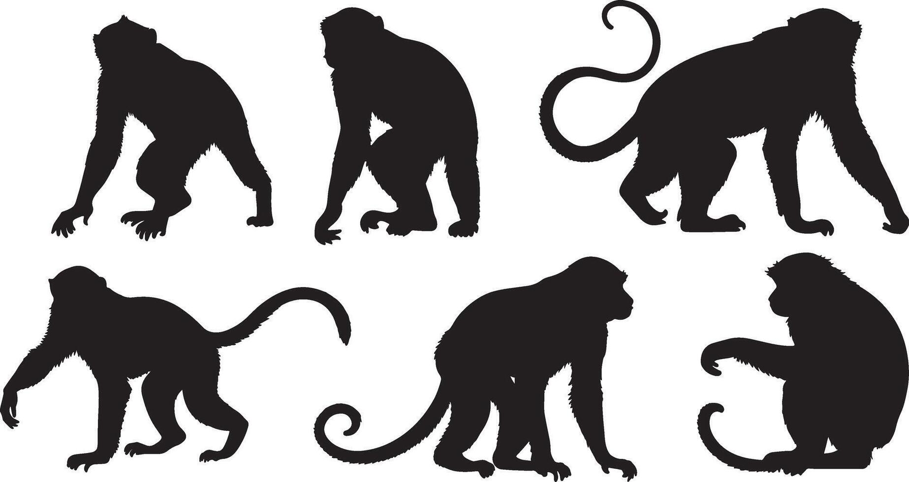 einstellen von ein Affe Silhouette Vektor Illustration