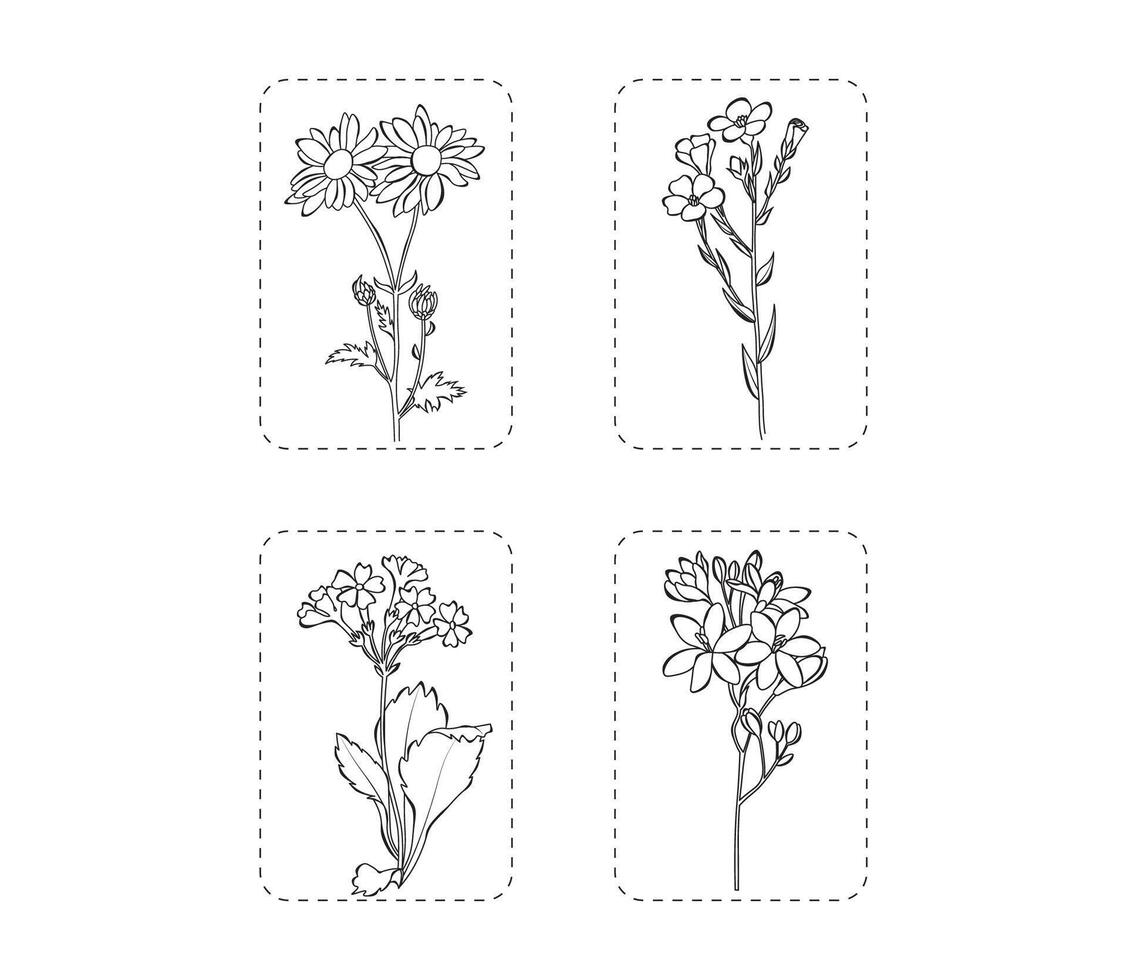 uppsättning av 4 blommor vektor illustration. botanisk blommor översikt med löv, isolerat på vit bakgrund. blommor för vår, sommar design eller färg bok.