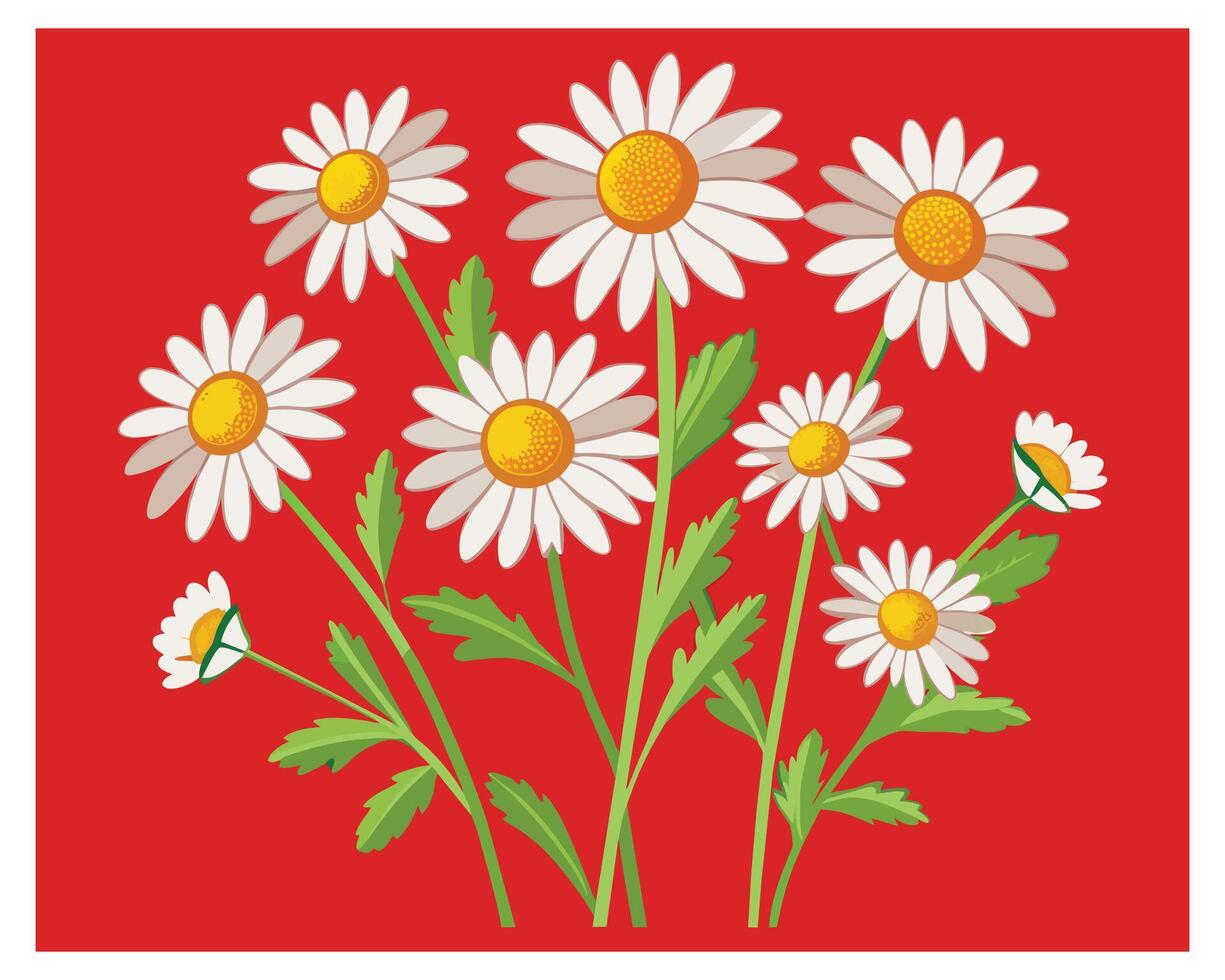 Karikatur Gänseblümchen Blume Vektor Design auf Weiß Hintergrund Illustration