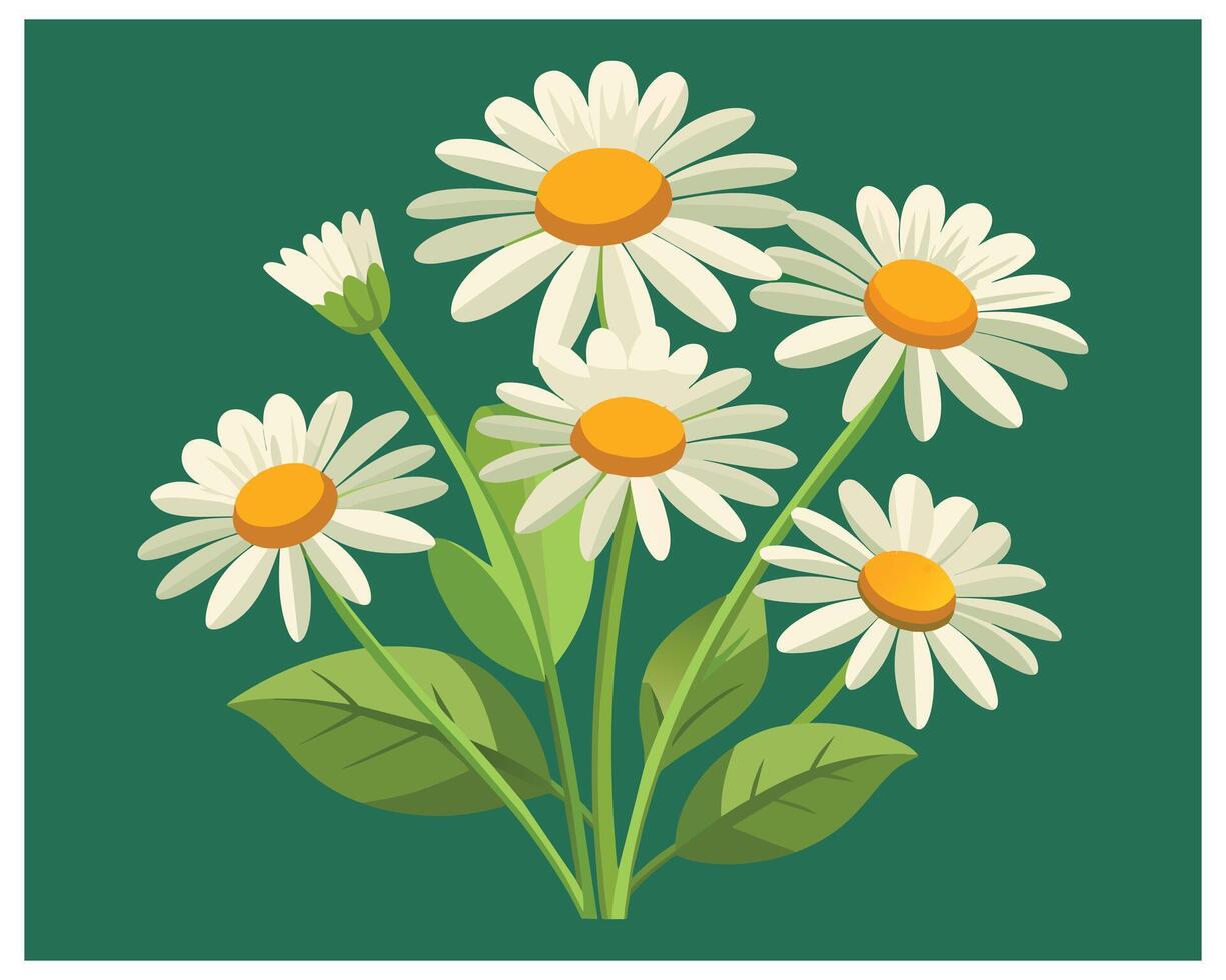 Karikatur Gänseblümchen Blume Vektor Design auf Weiß Hintergrund Illustration