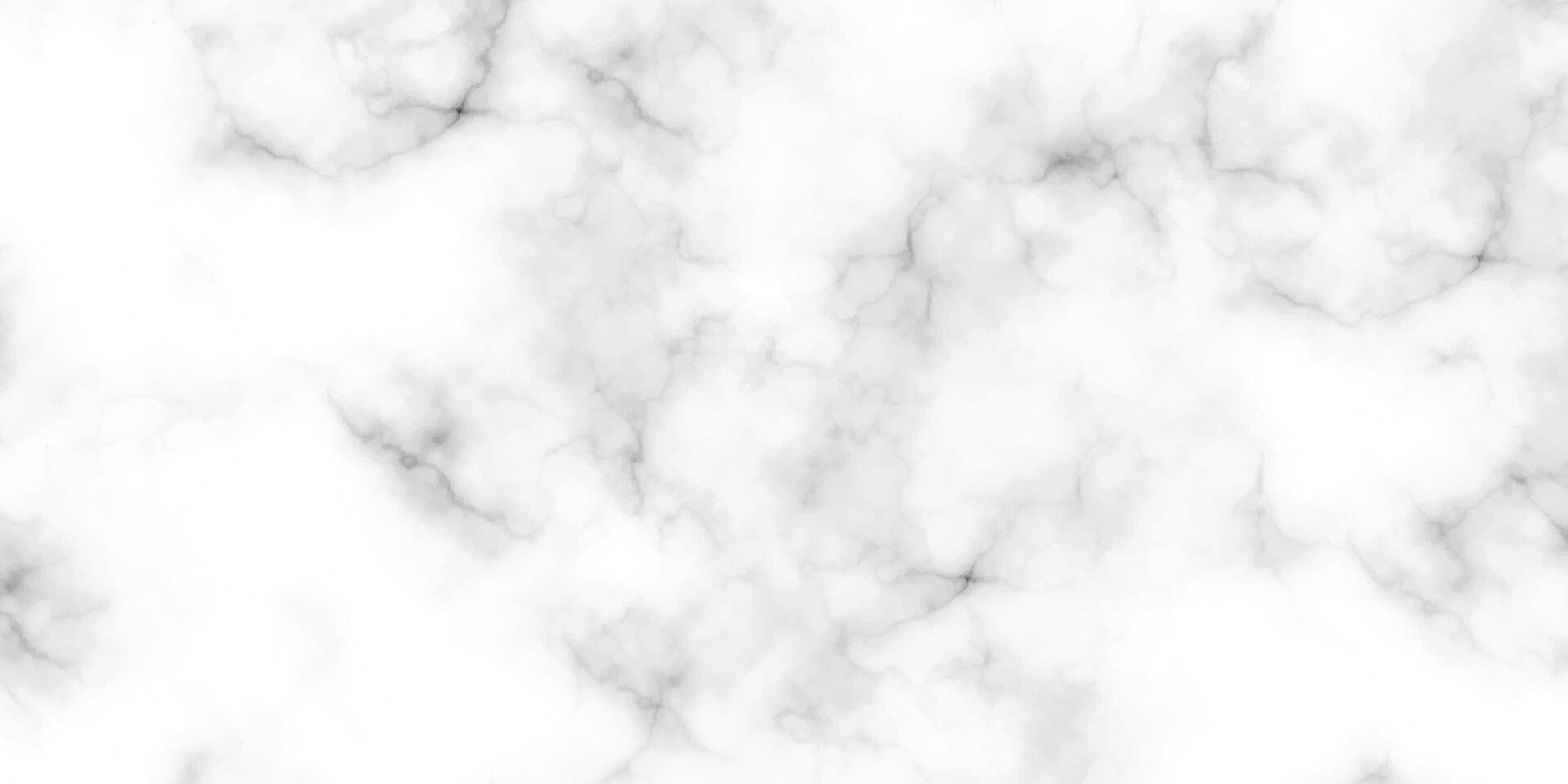 Panorama- Weiß Marmor Stein Textur. Weiß Marmor Textur Hintergrund. hohe Auflösung Weiß carrara Marmor Stein Textur. vektor