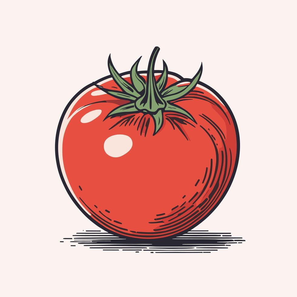 tomat klämma konst vektor illustration