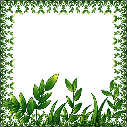 Gröna växter ram med dekorativ prydnad vektor