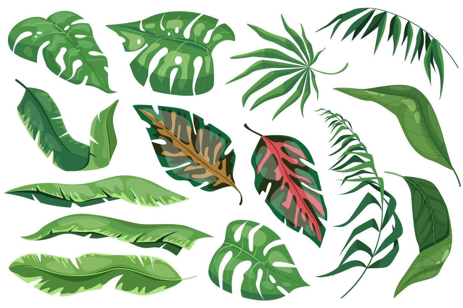 tropisch Blätter einstellen Grafik Elemente im eben Design. bündeln von anders Art exotisch Pflanzen, Blatt von Banane, Palmen, Monstera und andere Grün Urwald Laub. Vektor Illustration isoliert Objekte