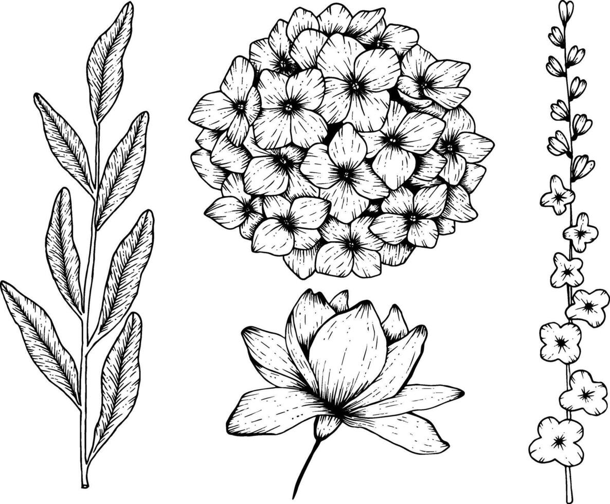 ritad för hand uppsättning med botanisk blommig illustrationer vektor