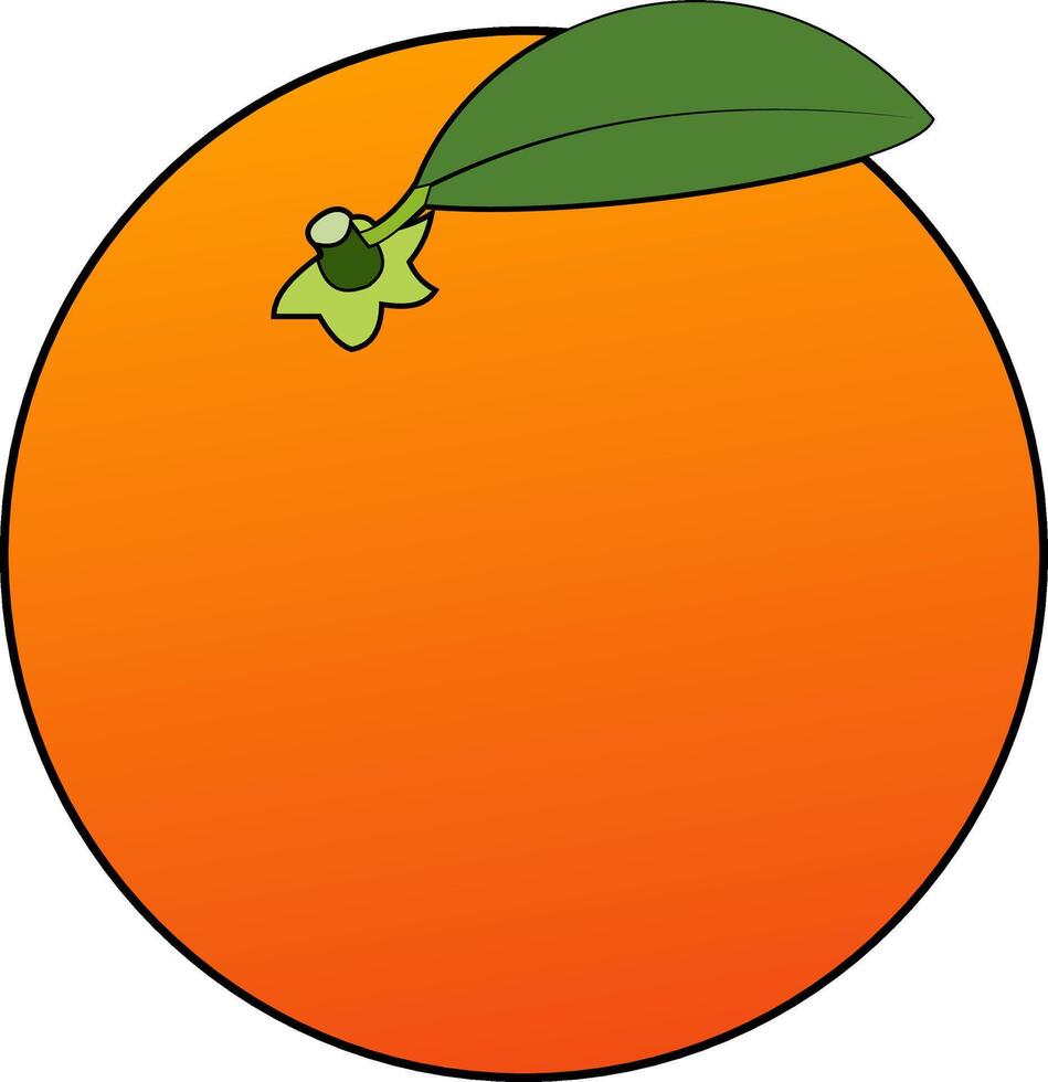 orange frukt och blad isolerat på vit bakgrund vektor