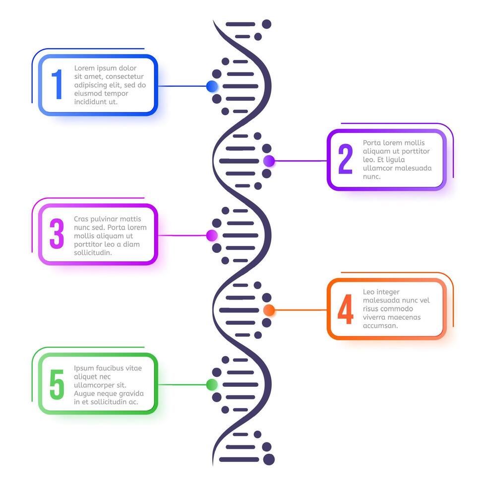 DNA Molekül Konzept. abstrakt Diagramm, Molekül Wendel Spiral- Struktur Wissenschaft planen, Biologie genetisch Chromosom Vektor systematisch Infografik Konzept. Präsentation Layout Design