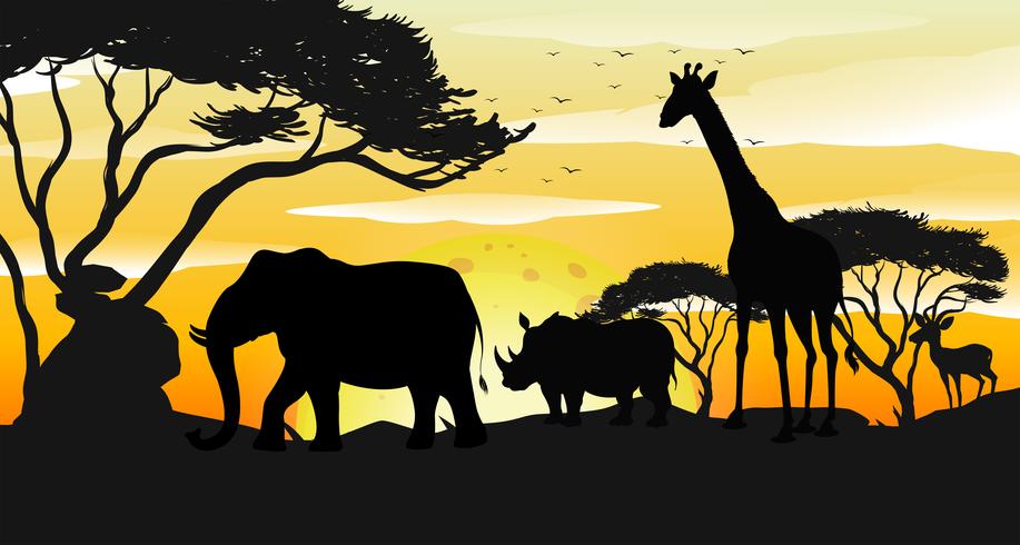 Afrikansk Savannah Silhouette Sunset Scene vektor