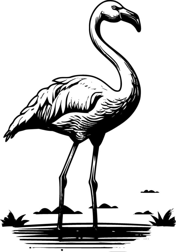 flamingo - svart och vit isolerat ikon - vektor illustration