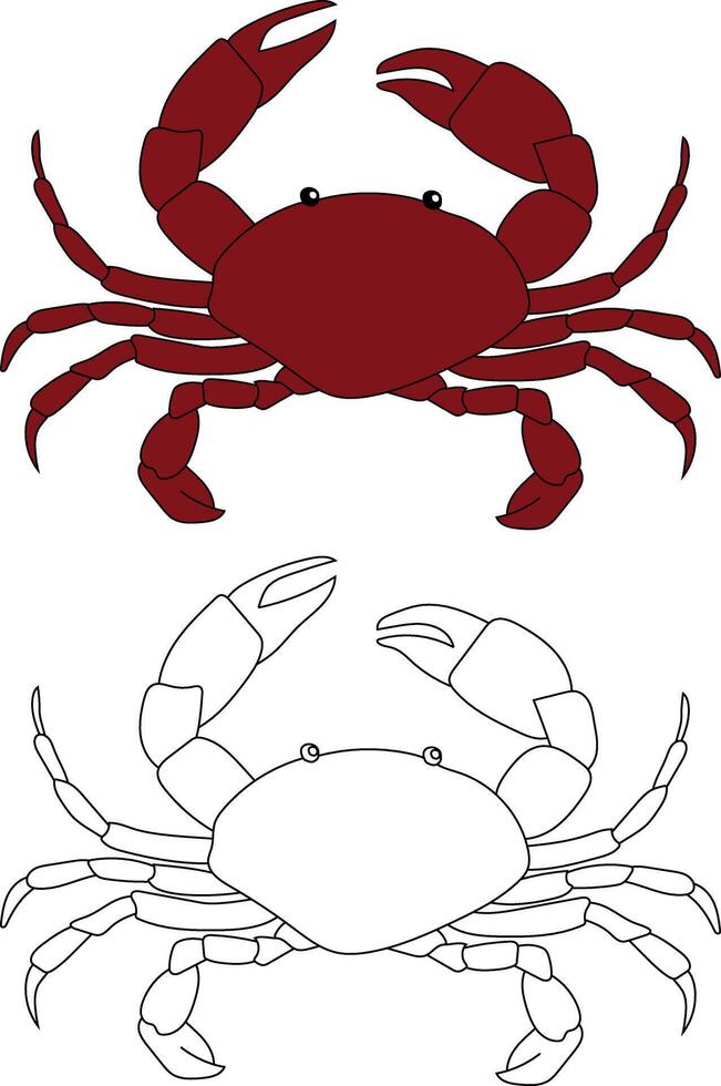 krabba ClipArt uppsättning. färgrik och översikt krabbor från de hav liv vektor