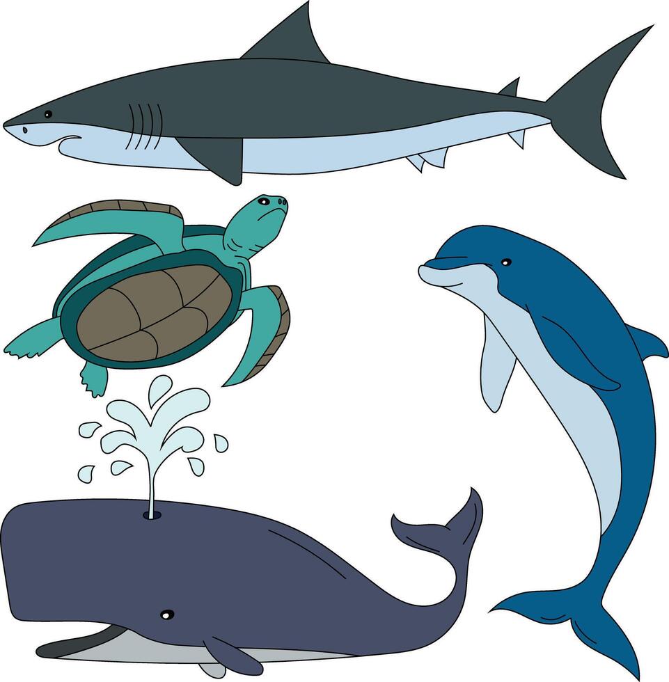 Wasser- Tiere Clip Art Satz. Meer Schildkröte, Hai, Wal, Delfin vektor