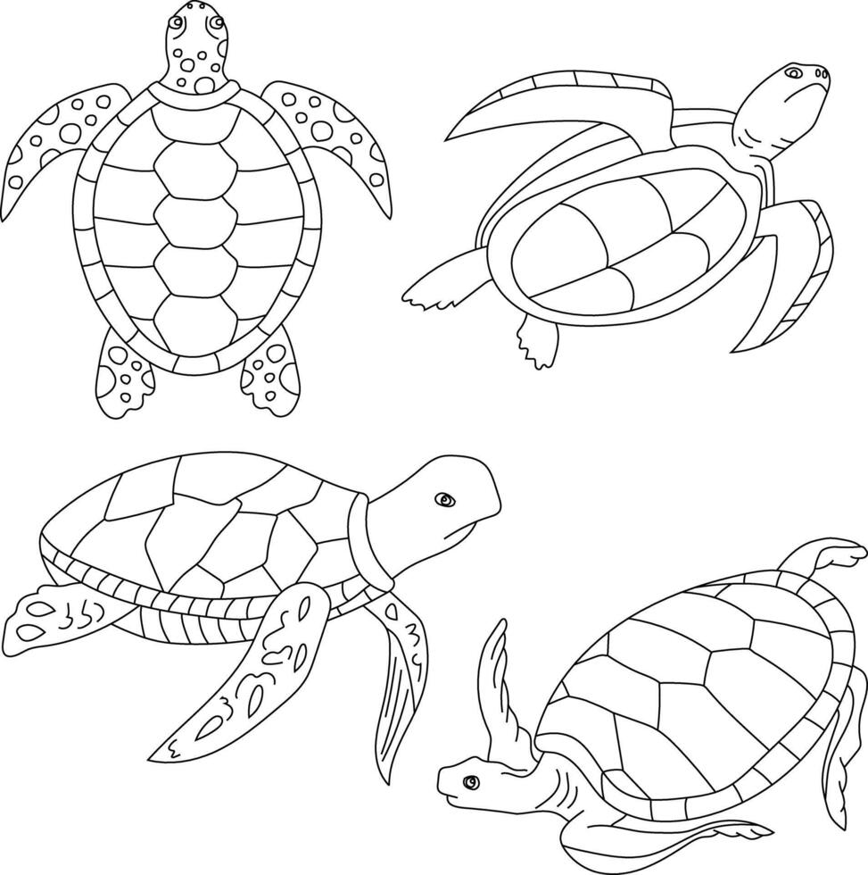 översikt hav sköldpadda ClipArt uppsättning vektor