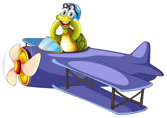 Turtle riding vintage flygplan vektor