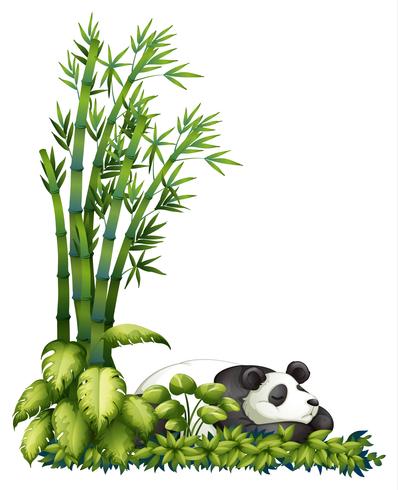 En sovande panda vektor