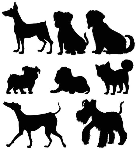 Verschiedene Arten von Hunden im Schattenbild vektor
