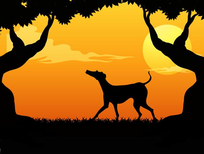 Silhuettplats med hund i parken vid solnedgången vektor