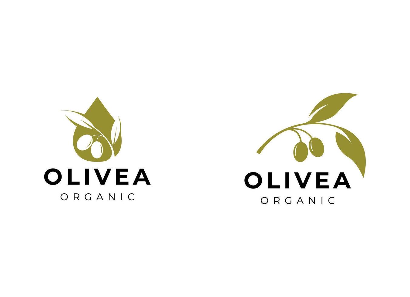 oliv olja logotyp vektor design