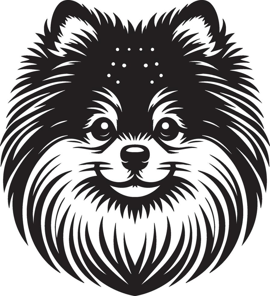 pomeranian hund illustration. vektor