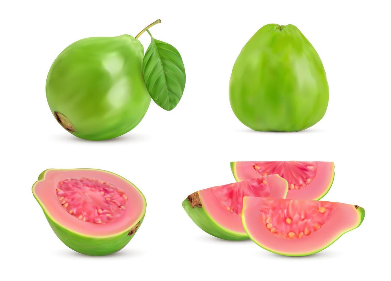 mogen rå realistisk guava, hela frukt och skivor vektor