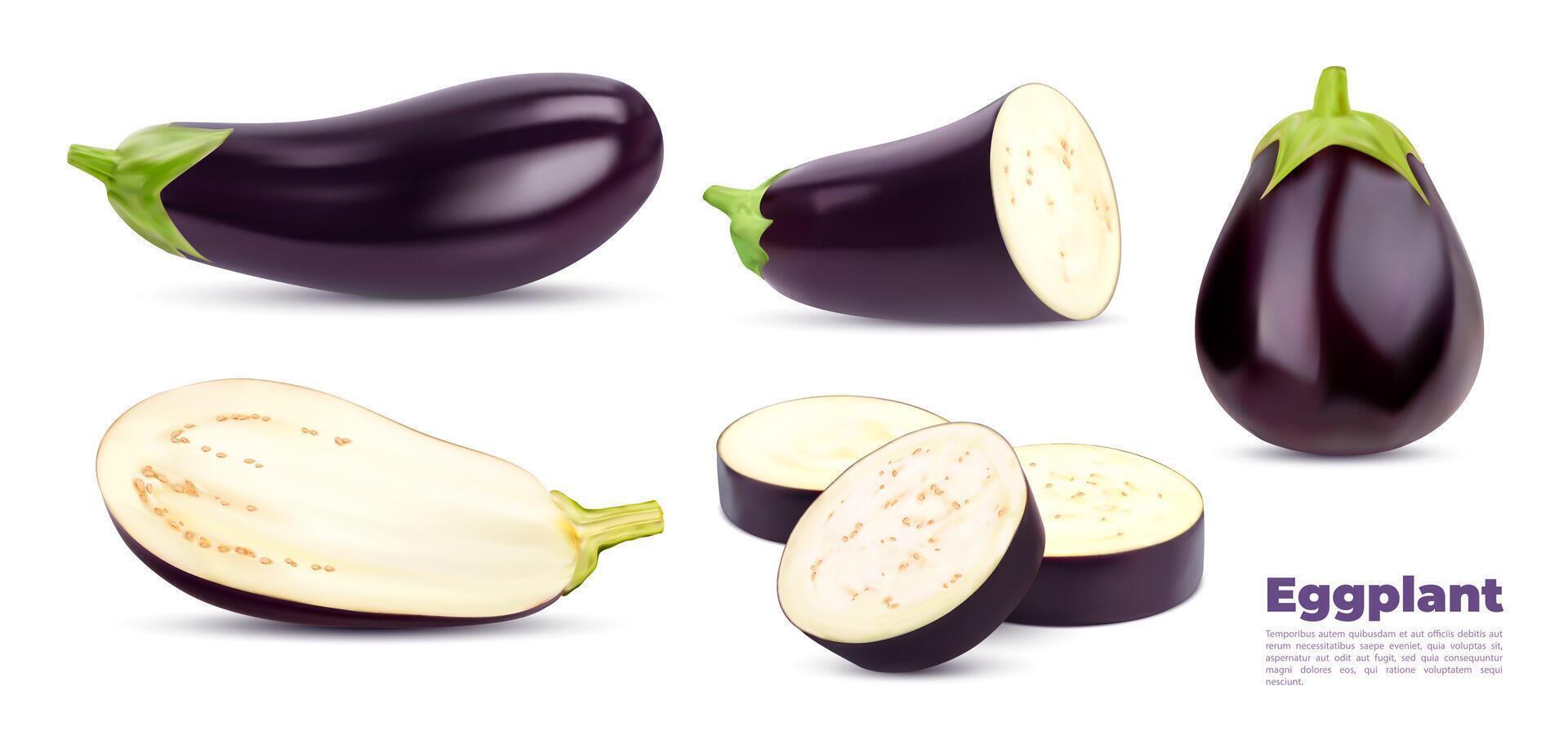 realistisch Aubergine Gemüse Scheiben und Ringe vektor