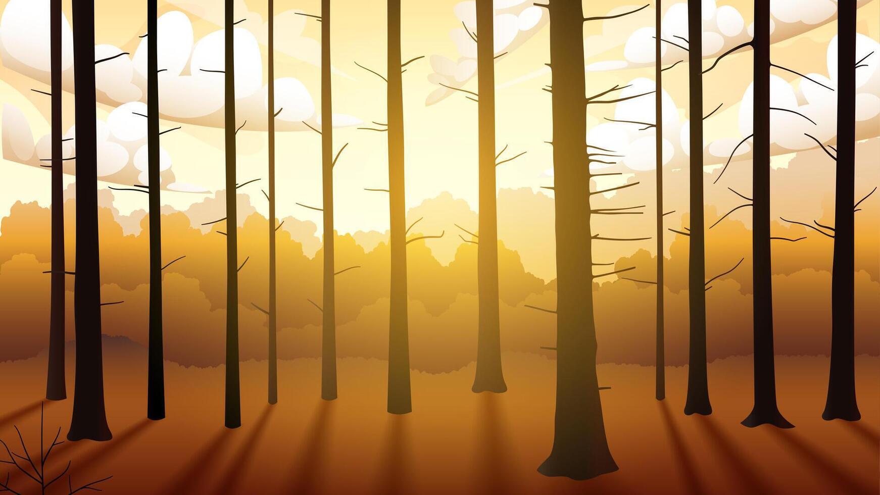solnedgång i de skog, skuggad träd trunk, vektor tapet, vektor illustration