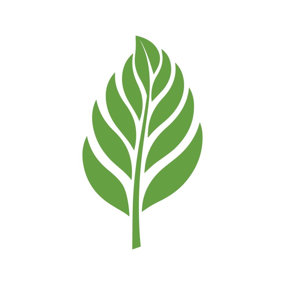 Grün Blatt Symbol gestalten frisch eben Vektor Design.