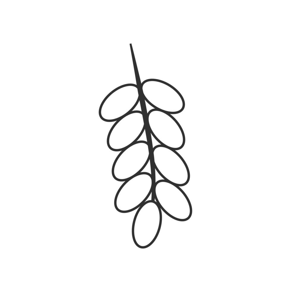 gren av dadelpalmfruktikonen i svart platt konturdesign vektor
