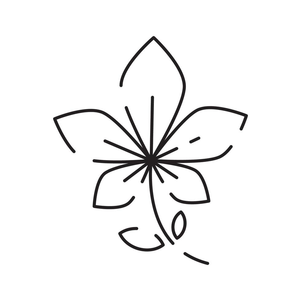 vår blommor linje ikon. skog ormbunke eukalyptus konst lövverk naturlig löv örter. dekorativ skönhet elegant illustration för design hand dragen blomma. vektor