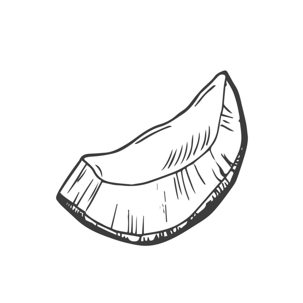 kokos skivor översikt ikon vektor illustration. hand dragen svart linje bitar av organisk kokos, två segment av kokospalm frukt och superfood