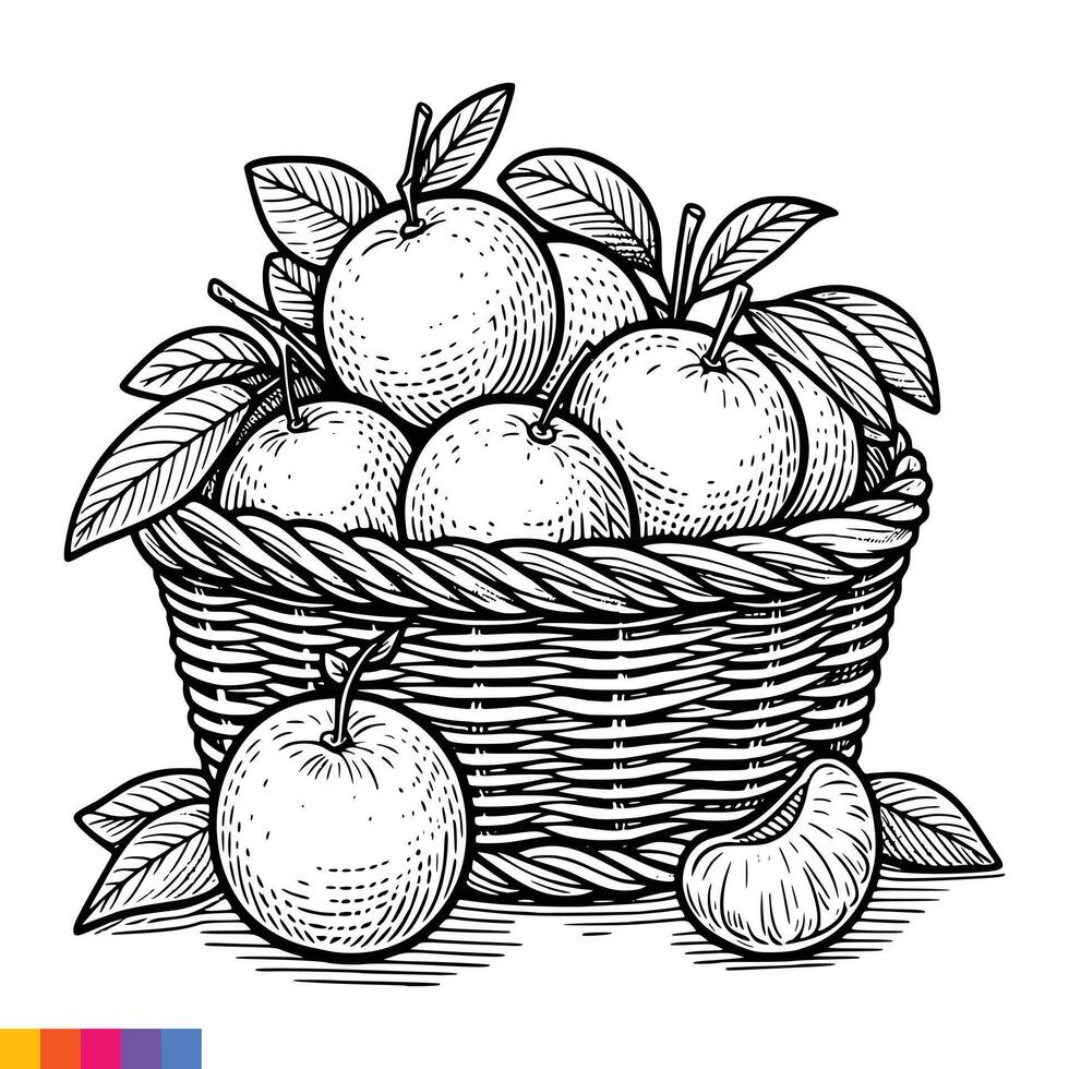 Obst Korb Linie Kunst Illustration zum das Färbung Buch. Früchte Färbung Buchseite. Vektor Grafik