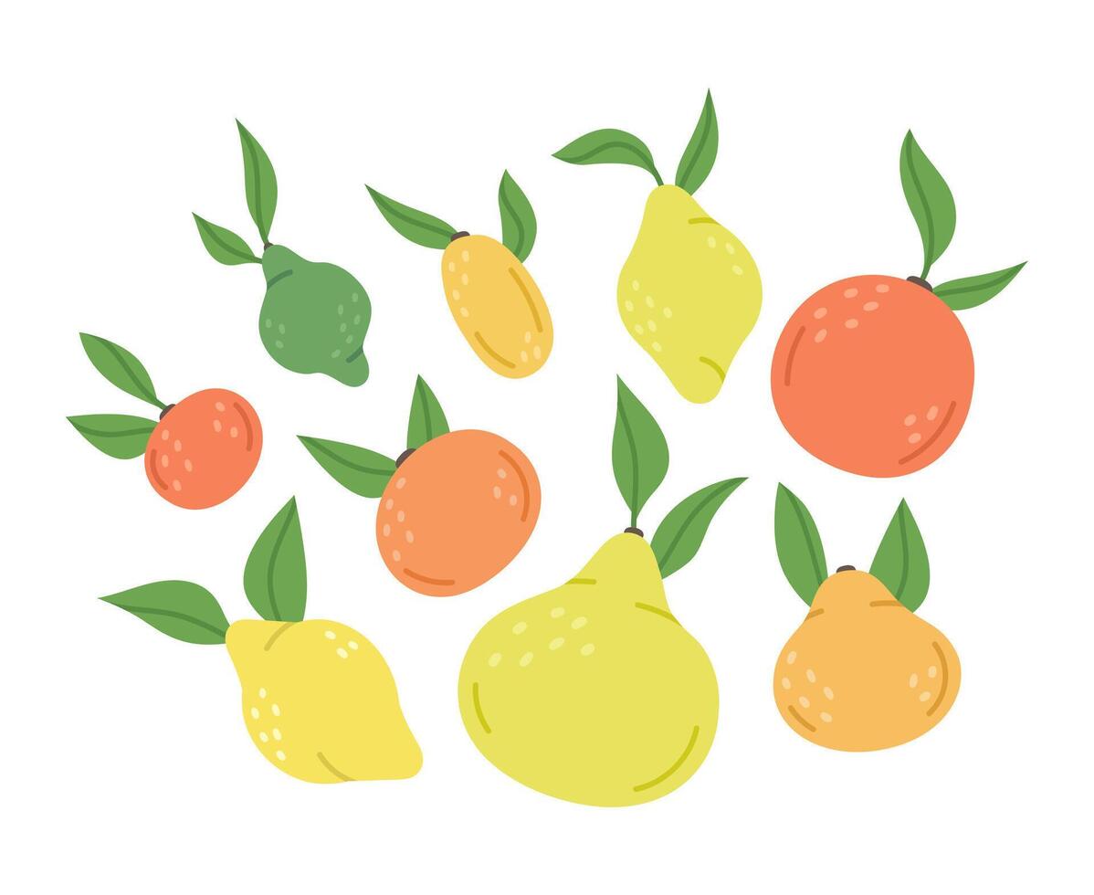 Gekritzel Zitrusfrüchte Früchte. Zitrusfrüchte orange, Kalk, Zitrone und Pampelmuse Vitamin Früchte. Hand gezeichnet organisch sauer Geschmack Früchte. Zitrusfrüchte Früchte Vektor isoliert Illustration Symbole einstellen