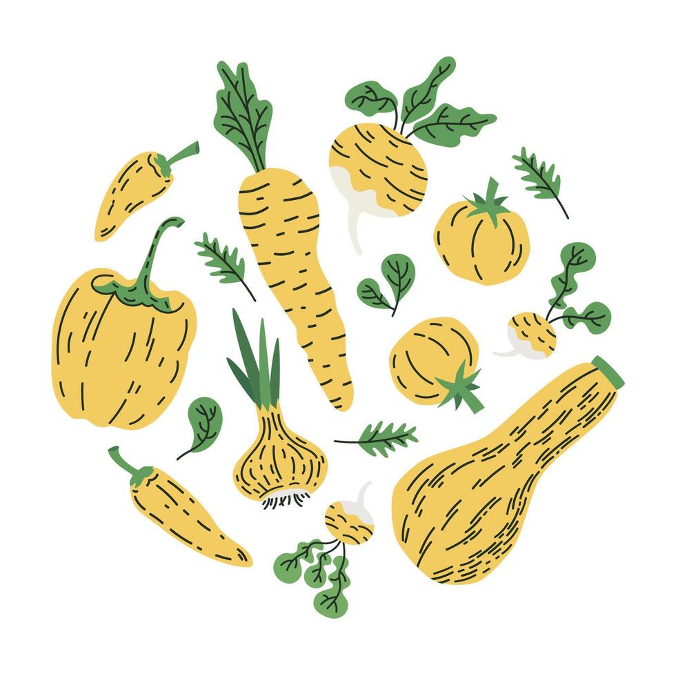 Gelb Gemüse. Hand gezeichnet Gekritzel Gemüse, quetschen, Tomate, Pfeffer Vektor Illustration Symbole Satz. gesund Lebensstil köstlich Vegetarier organisch Vitamine Essen