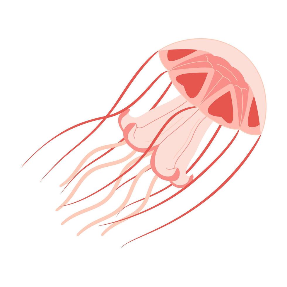 Karikatur Rosa Qualle eben Stil. Meduse Vektor Illustration. modern eben Illustration Qualle isoliert auf Weiß Hintergrund. Vektor Illustration