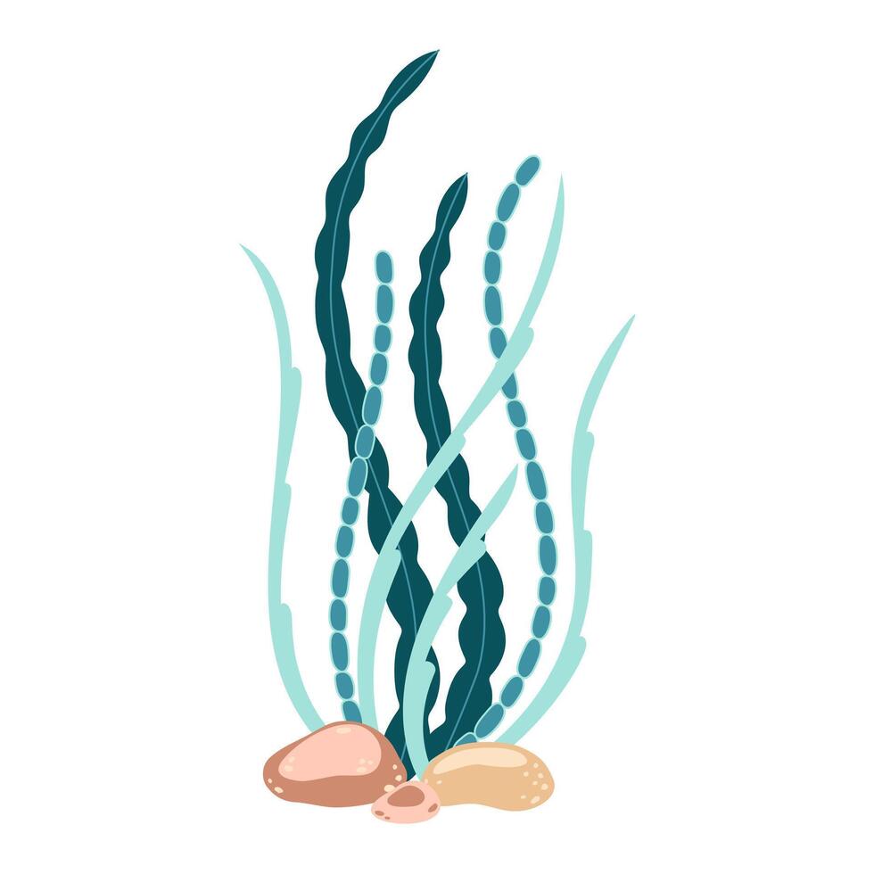 tång. hand dragen alger färgrik tång. under vattnet växter. modern platt illustration. vektor illustration