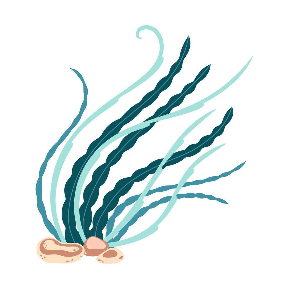 Seetang. Hand gezeichnet Algen bunt Seetang. unter Wasser Pflanzen. modern eben Illustration. Vektor Illustration