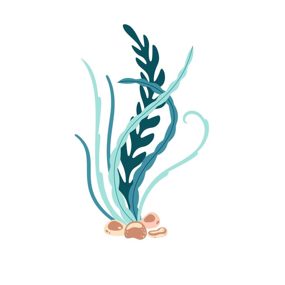 Seetang. Hand gezeichnet Algen bunt Seetang. unter Wasser Pflanzen. modern eben Illustration. Vektor Illustration